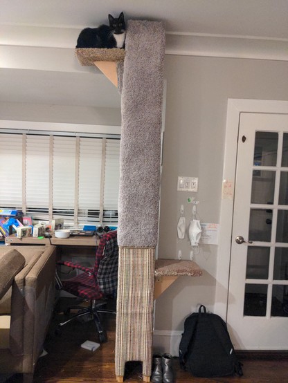 Zoomed out showing the full cat tower, with the black cat about 7ft above the ground. The bottom of the tower has a sisal mat, and a hole at the bottom that looks like a typical mouse wall hole in the cartoons. About halfway up the sisal switches to a grey shaggy rug.