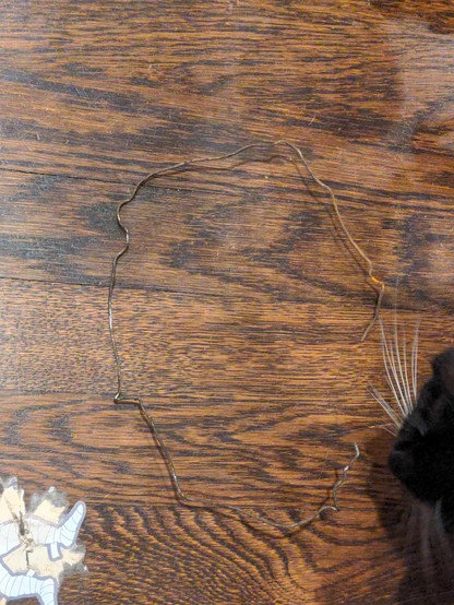 That same wire, pulled off the cassette and lying on a wood floor. It looks like  a wire hanger, 12-18" long, and pretty mangled and rusty. There's also the nose and face of a black cat inspecting the wire (my helper feline).