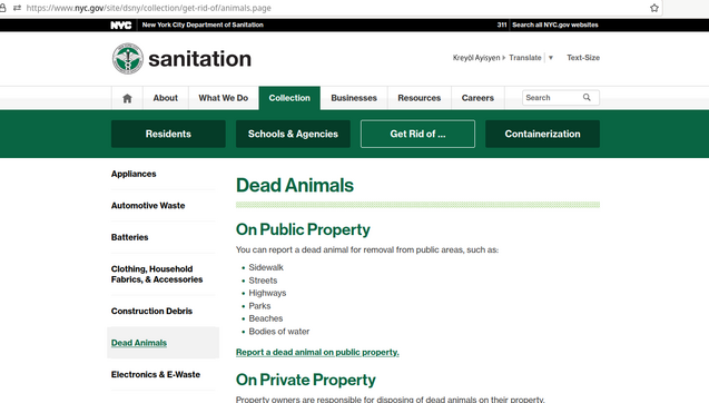 Back to the Dept Of Sanitation page, with its garish green theme. This page is titled "Dead Animals", and says the following:
"You can report a dead animal for removal from public areas, such as:

    Sidewalk
    Streets
    Highways
    Parks
    Beaches"
And after that:
    "Bodies of water"

So it turns out it was bodies *of water*.